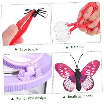 工芸作品・蝶　草花　飼育天然記念物採集地　信州/博物館・教材 工芸作品・蝶 草花 飼育天然記念物採集地 信州/博物館・教材